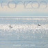 HORIZON