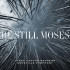 BE STILL MOSES