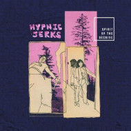 HYPNIC JERKS