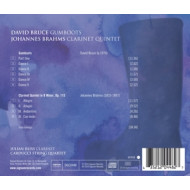 GUMBOOTS/CLARINET QUINTET