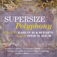 SUPERSIZE POLYPHONY