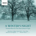 A WINTER'S NIGHT