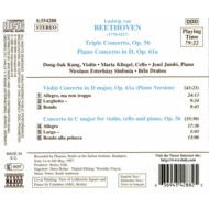 TRIPLE CONCERTO FOR VIOLI