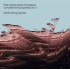 GUDMUNDSEN-HOLMGREEN: COMPLETE STRING QUARTETS VOL 2
