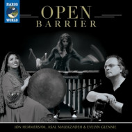 OPEN BARRIER
