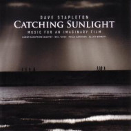 CATCHING THE SUNLIGHT