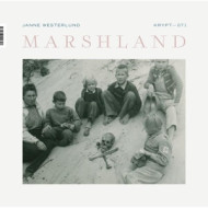 MARSHLAND