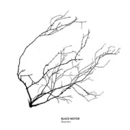 BRANCHES