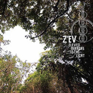 ELEVEN MIRRORS TO THE LIGHT