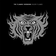 SILVER FLAMES