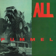 PUMMEL