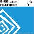 BIRD FEATHERS