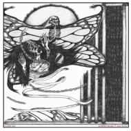 CLIPPED BEAK/ SILK PANIC