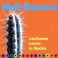 CACTUSES COME IN THE FLOC
