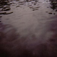 WE MOVE THROUGH WEATHERS