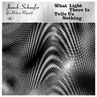 WHAT LIGHT THERE IS TELLS US NOTHING