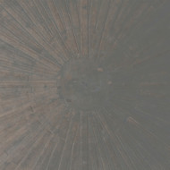 SELVA OBSCURA