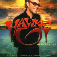 HEATSTROKE -DIGI-