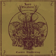 COSMIC AWAKENING