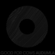 AUDUMLA