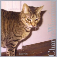 LEPTON