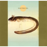 ELECTRIC EEL