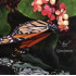 CLASS INSECTA