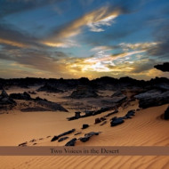 TWO VOICES IN THE DESERT