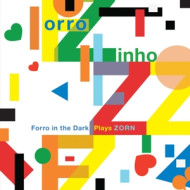 FORRO ZINHO N FORRO IN THE DARK PLAYS JOHN ZORN