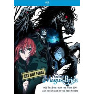 ANCIENT MAGUS' BRIDE - THE BOY FROM THE WEST AND THE KNIGHT OF THE BLUE STORM