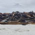 SAND COLLECTOR'S DREAM