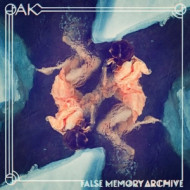 FALSE MEMORY ARCHIVE