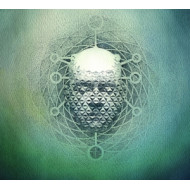 YOU ARE CREATING: LIMB1