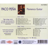 FLAMENCO GUITAR