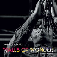 WALLS OF WONDER