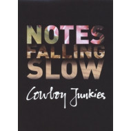 NOTES FALLING SLOW