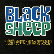 7-COUNTING SHEEP