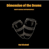 DIMENSIONS OF THE DRUMS
