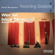 WER IST IVICA STRAUSS?