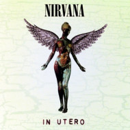 IN UTERO
