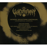 ENTROPIC REFLECTIONS CONTINUUM/DIMENSIONAL UNRAVEL