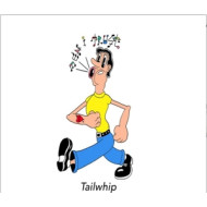 TAIL WHIP
