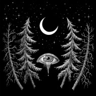 NIGHT SPIRIT