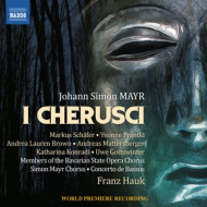 I CHERUSCI