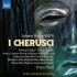 I CHERUSCI