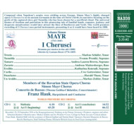I CHERUSCI