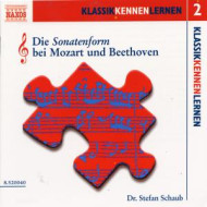 DIE SONATENFORM