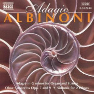 ADAGIO CONCERTO