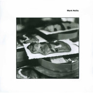 MARK HOLLIS