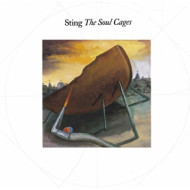 THE SOUL CAGES